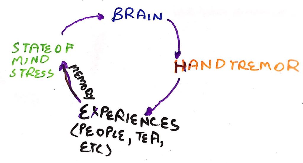 WhatsApp Image 2017-10-18 at 10.31.06 AM