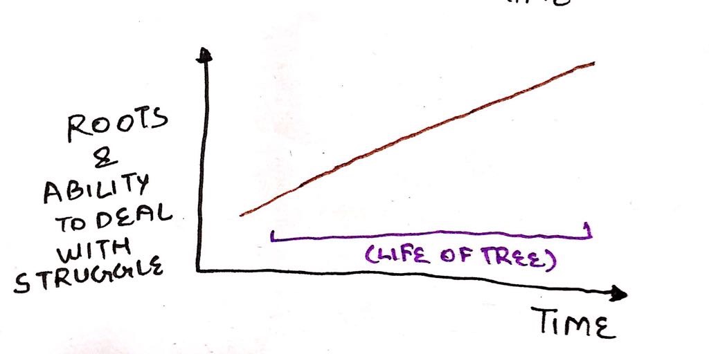 WhatsApp Image 2017-12-22 at 1.21.46 PM.jpg