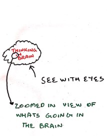 WhatsApp Image 2018-01-06 at 9.55.13 AM