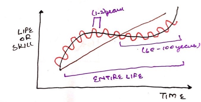 whatsapp-image-2017-12-22-at-1-24-26-pm (1).jpg